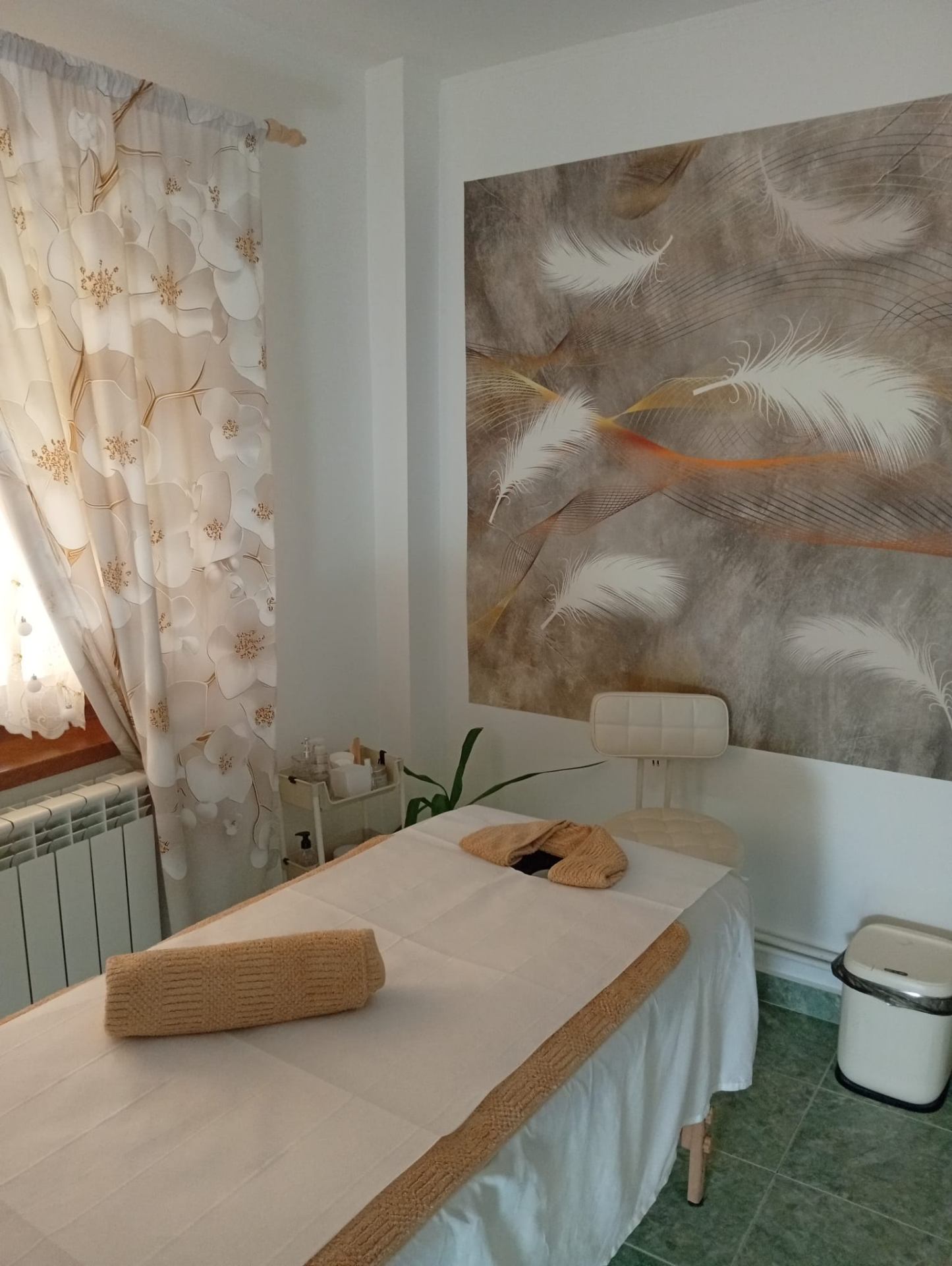 Cabinet — perete decorativ cu pene